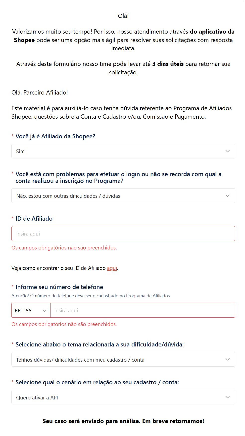 Exemplo de preenchimento do formulário Shopee API